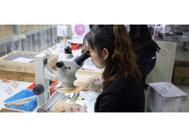 關于屏蔽電感和非屏蔽電感的不同你了解多少